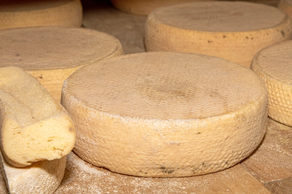 Tsivis cheese